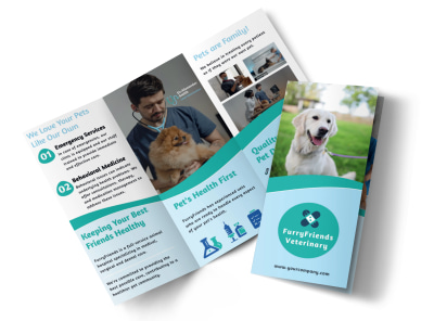 Main About Us Veterinarian   1r5s7jse41  Image