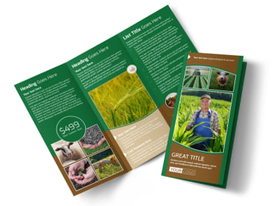 Main Farmers Insurance Agent    Image