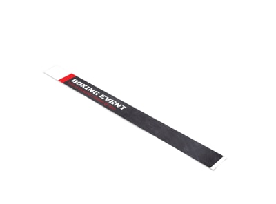 Main Boxing Event   Image