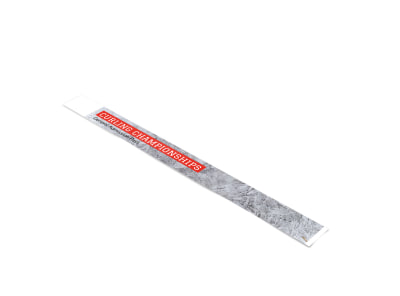 Main Curling Championships   Image