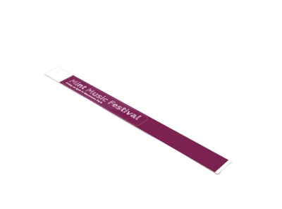 Main Mint Music Festival   Image