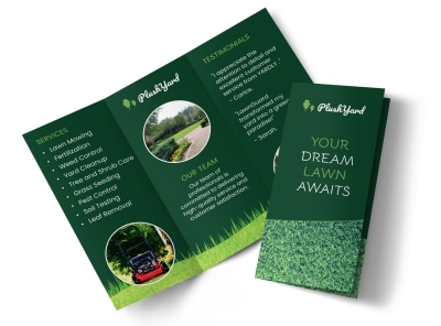 Main Lawn Care   192ljefl0e  Image