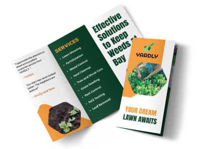 Main Lawn Care   d48zz1cckh  Image