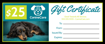 Dog Grooming   b8m6rc45no Side 1 Image