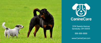 Dog Grooming   b8m6rc45no Side 2 Image