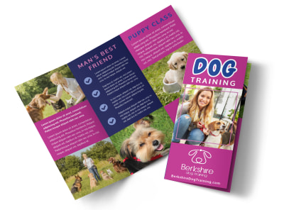 Main Dog Training    3y7wzfwwl4 Image