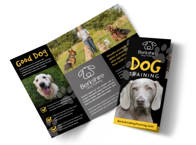 Main Dog Training    m58d3w9hdz Image