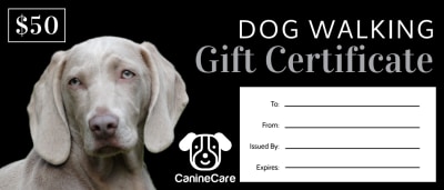 Dog Walking   9iw5qd8nji Side 1 Image