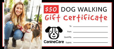 Dog Walking   bs36quvew4 Side 1 Image