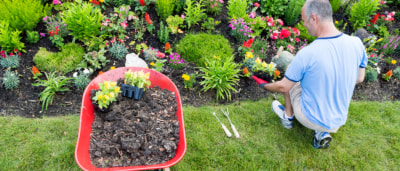 Landscaping   jxmdm1tbn9 Side 2 Image