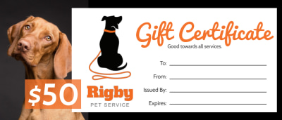 Pet Sitting   qtonyiwqjh Side 1 Image