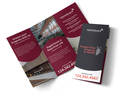 Main Pest Control Services    Image