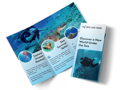 Main Scuba Diving Tourism   yt9tvspp9q  Image