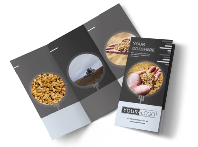 Main Seed Company    Image